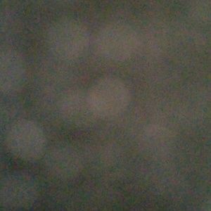 Meet your Posher, Shelby